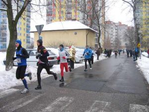 obraz20082